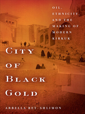 cover image of City of Black Gold